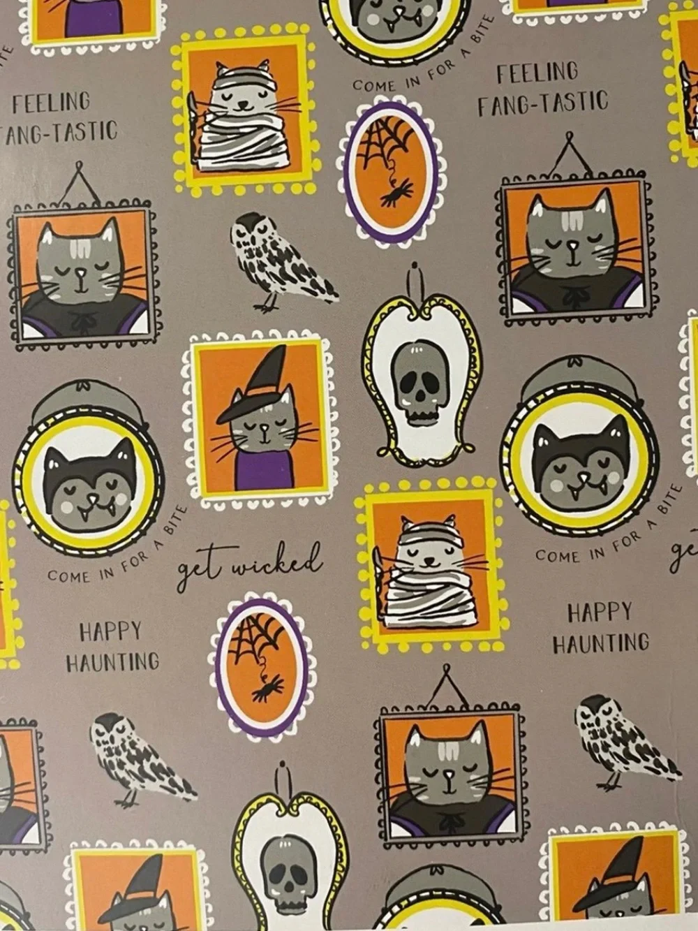 Way to Celebrate Framed Halloween Characters Velvet Plush Throw. 50” By 60”.